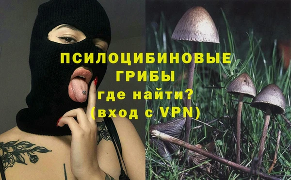 соль ск Липки