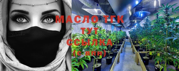 ешки Инта