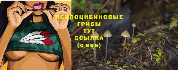 трава Нижний Тагил