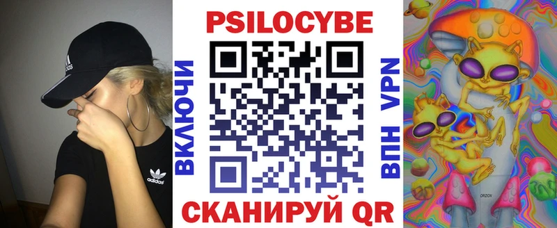 Псилоцибиновые грибы мицелий  Камбарка 